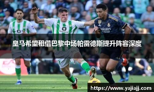 NG体育官网