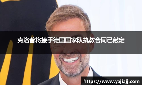 NG体育官网