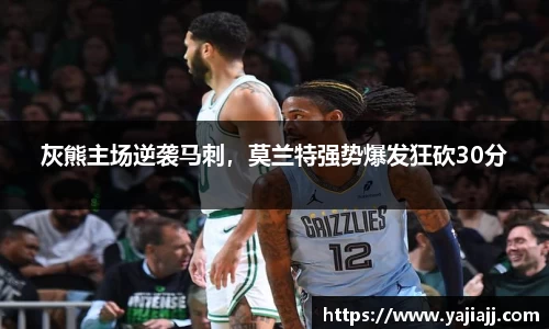 NG体育官网