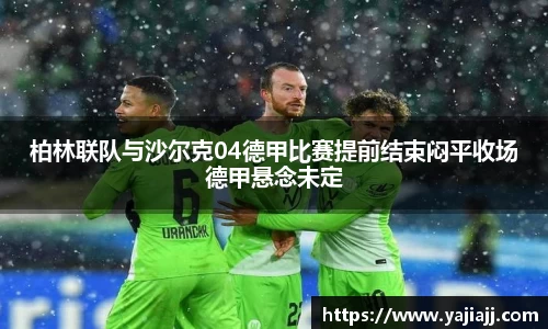 NG体育网址
