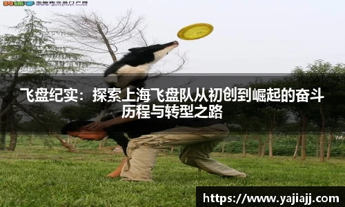 NG体育APP