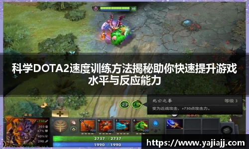 NG体育下载