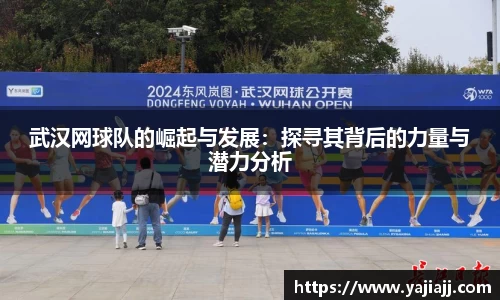 NG体育网址