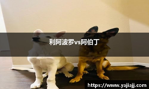 利阿波罗vs阿伯丁