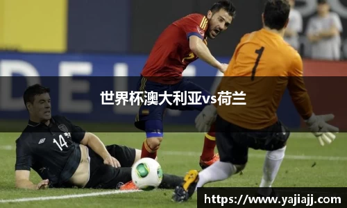 世界杯澳大利亚vs荷兰