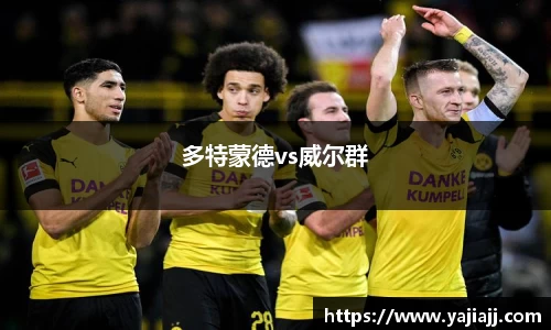 多特蒙德vs威尔群