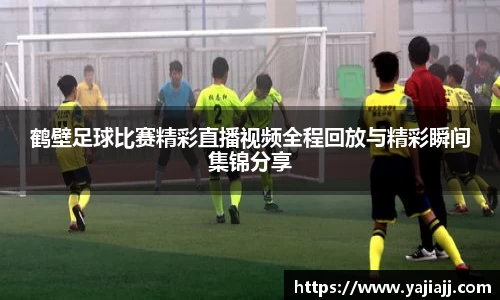 NG体育下载