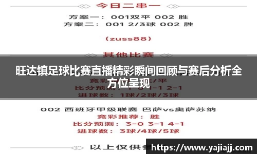 NG体育下载