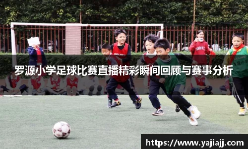 NG体育网址
