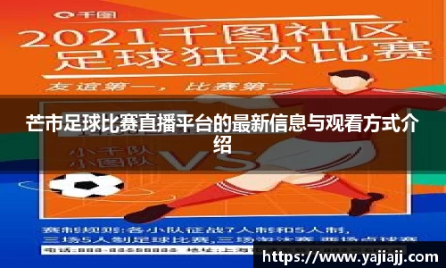 NG体育下载