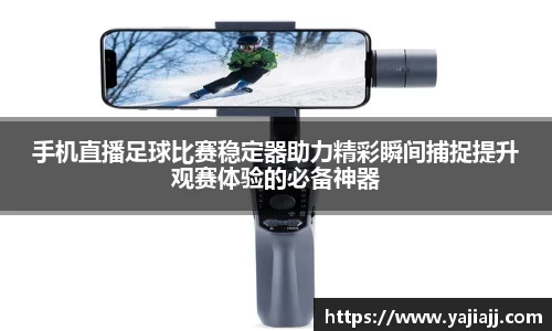 NG体育官网