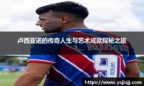 NG体育官网