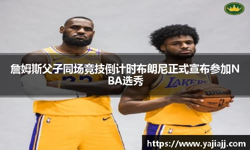NG体育官网